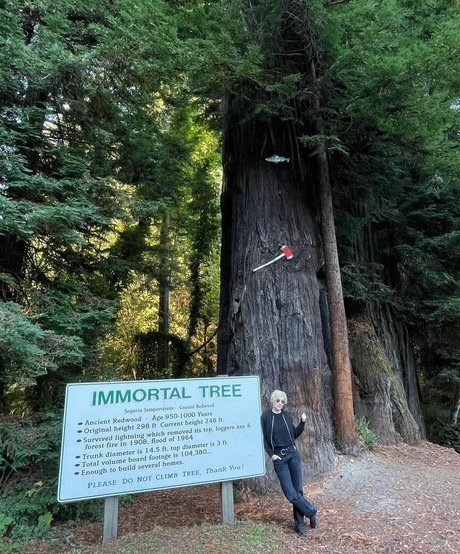 black lesbian onlyfans nude pictures