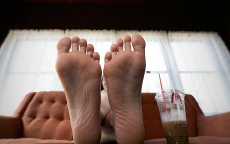 tastytaurustoes star top archive