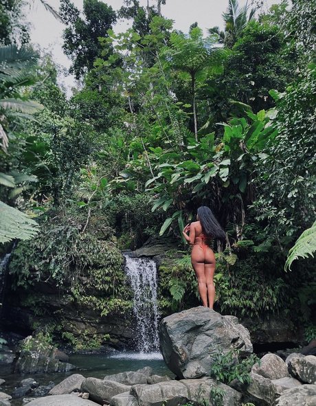 lilpineapplegirl porn star image