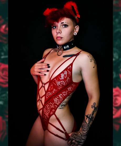 Lilpushpop porn star images