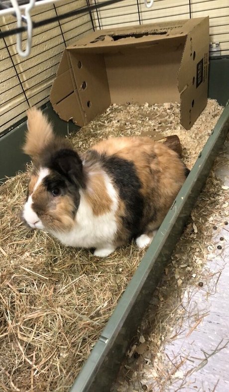 lothianjamie pornstar nudes galleries