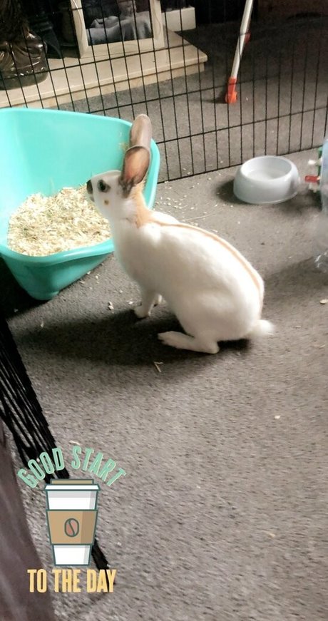 lothianjamie exclusive actress pics