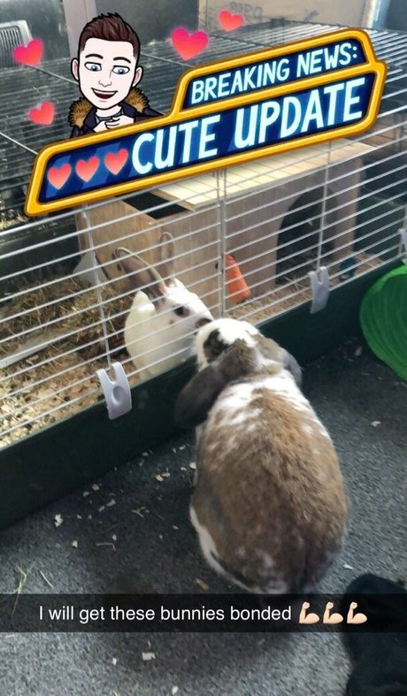 lothianjamie hd pornstar photo