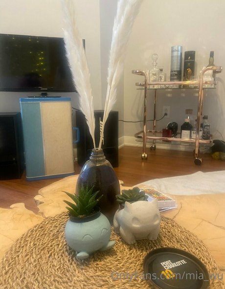 mia wu star art pictures