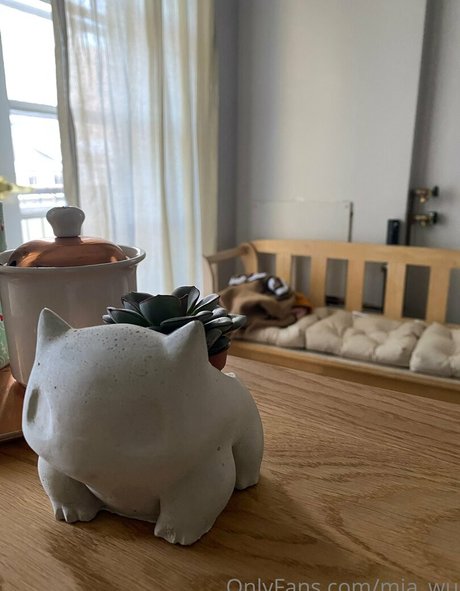 mia wu free model photo