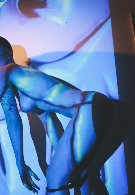 missalexthorn free star pictures