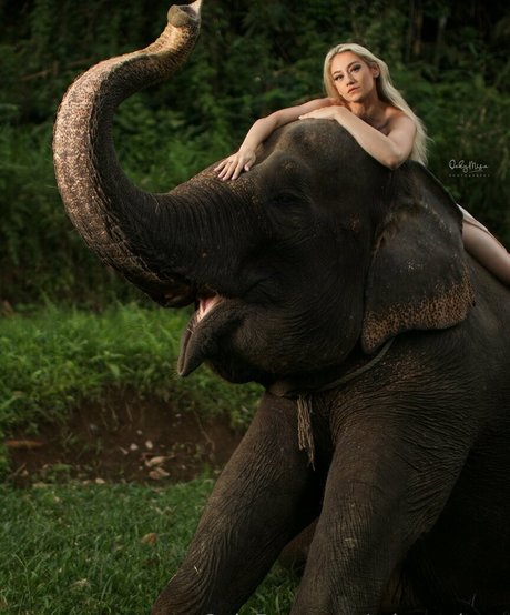 missarchers adult star galleries