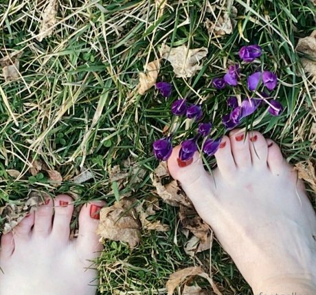 sexyfeetgallery sexy star picture