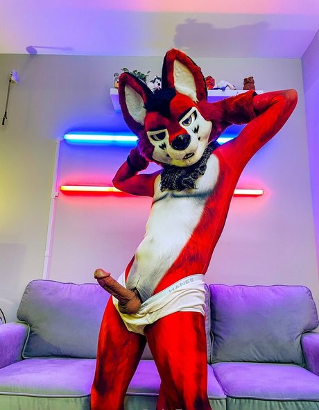 wolf ezo pornographic actress pic