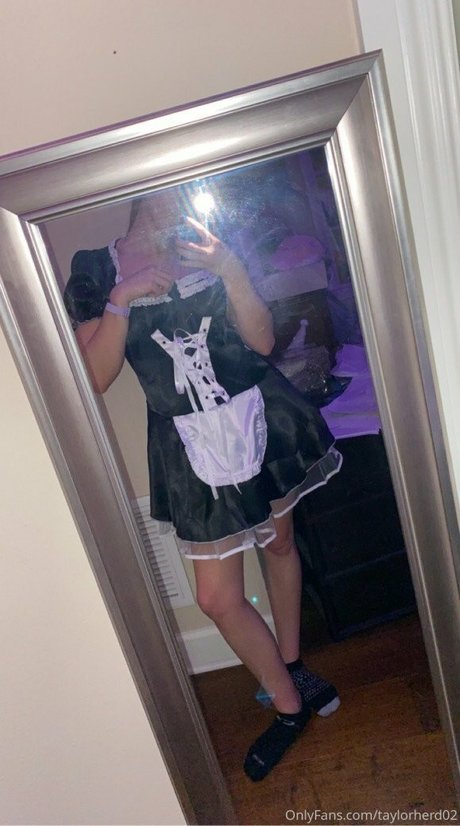 taylorherd02 star pretty img