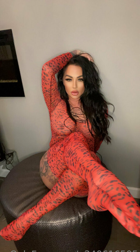 Getin loser21 art model archive