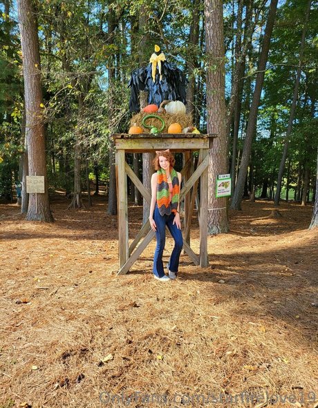 starfirelove19 star art gallery