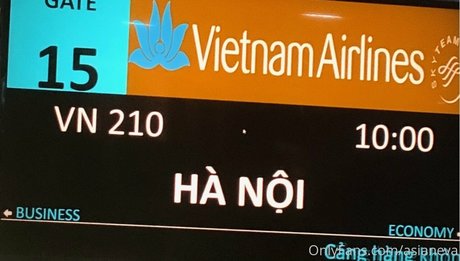 asianeva adult model photo