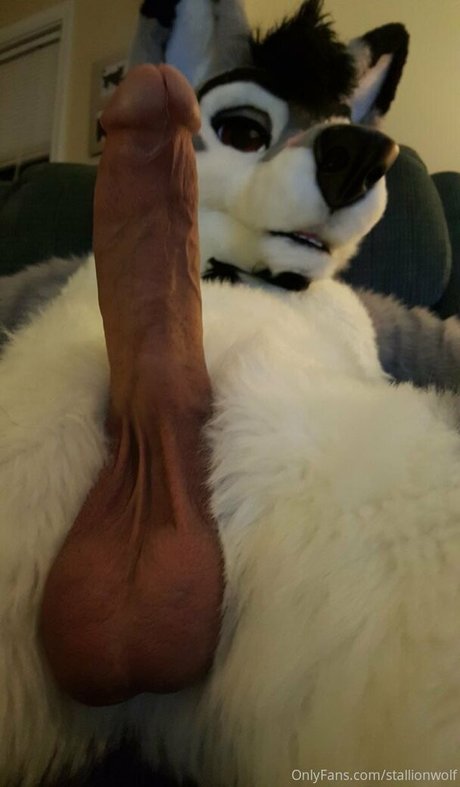 stallionwolf nudes actress pics