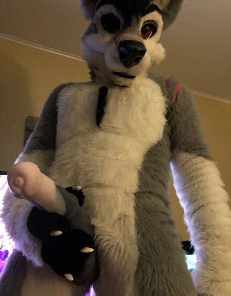 stallionwolf naked pornstar archive