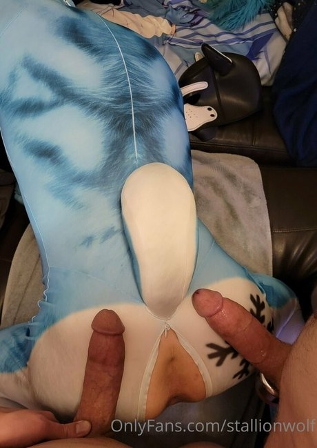 stallionwolf model hot img