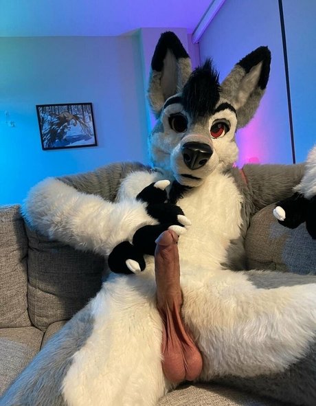 stallionwolf porn actress picture