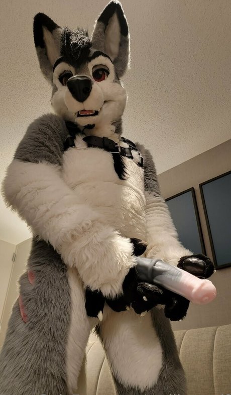 stallionwolf model pornographic pictures