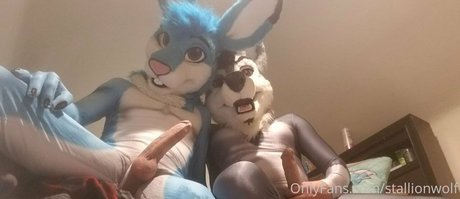 stallionwolf adult star picture