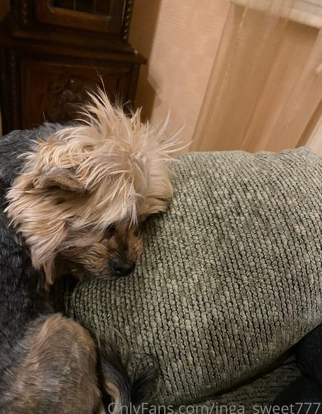 inga sweet777 nice model galleries