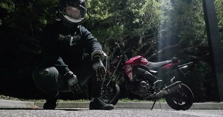 asherridesfree sex star archive