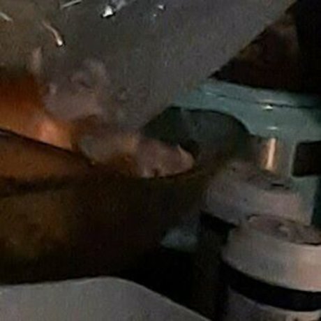 fenna ad hd pornstar pic