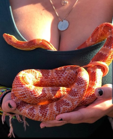 Isabellaell nice pornstar galleries