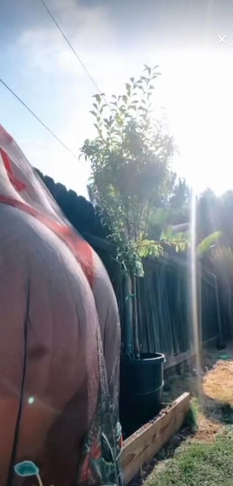 Jessica Miller model pornographic pictures