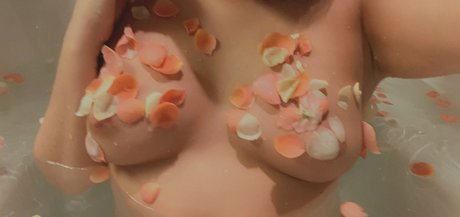 scout hd star gallery