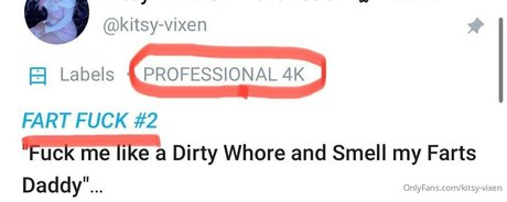 kitsy vixen star top img