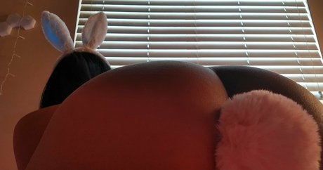 eeebydeeeby pornstar nude archive