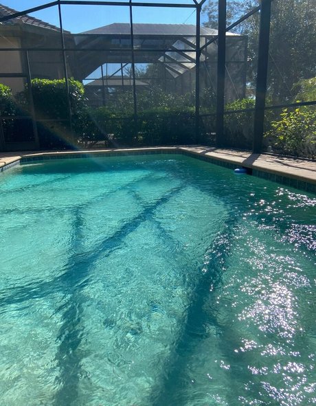 beachbear428 pornstar pic