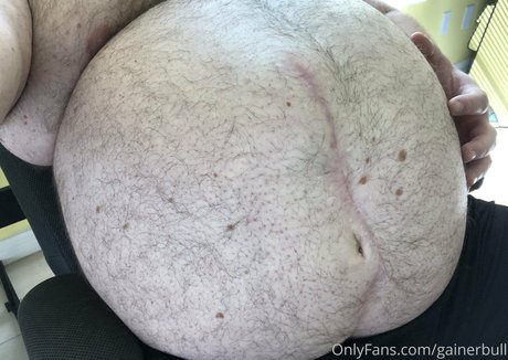 gainerbull star art photos