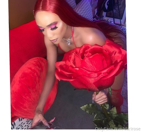 darirose porn model photo