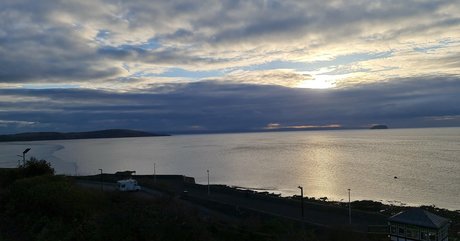 purplemiss sex actress image