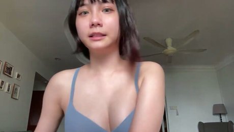 boiledcurry hd star gallery