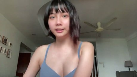 boiledcurry star art pictures