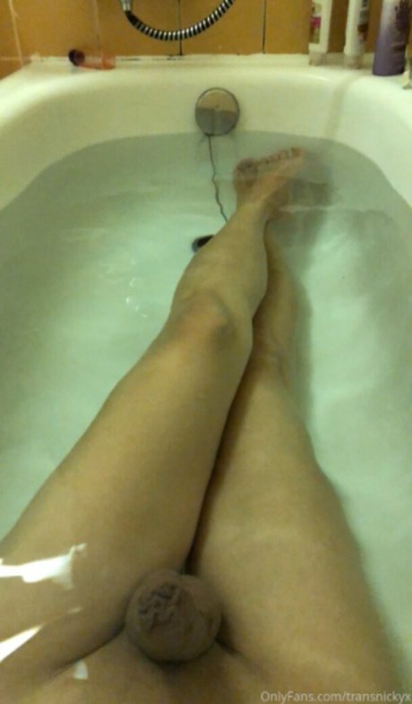 Transnickyx beautiful star gallery