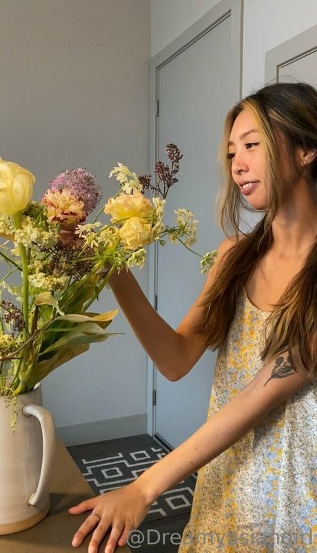 dreamyasiangirlvids art actress images