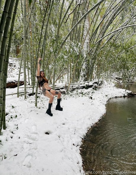 hotdonna666free star adult pics