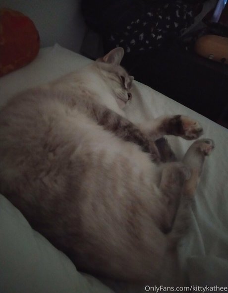 arab pussy onlyfans hot sex images