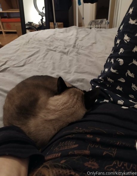 kittykathee nudes pornstar pics