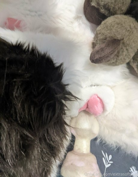 extrasoftpup model high quality pics