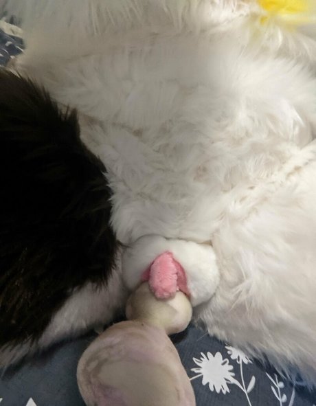 wide onlyfans hot sexy photos