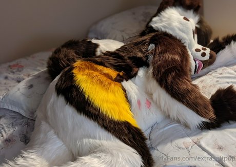 extrasoftpup star nudes gallery