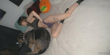 Wallfartss model beautiful photo