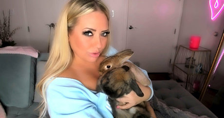 pointy tits onlyfans adult galleries