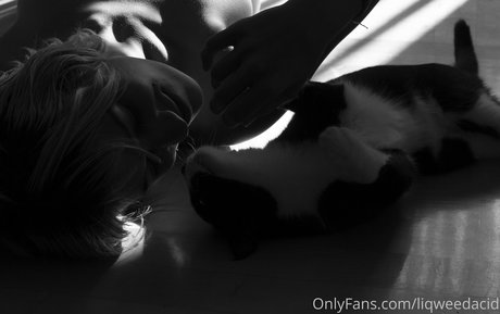 liqweedacid perfect pornstar pic