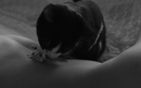 liqweedacid free actress pics