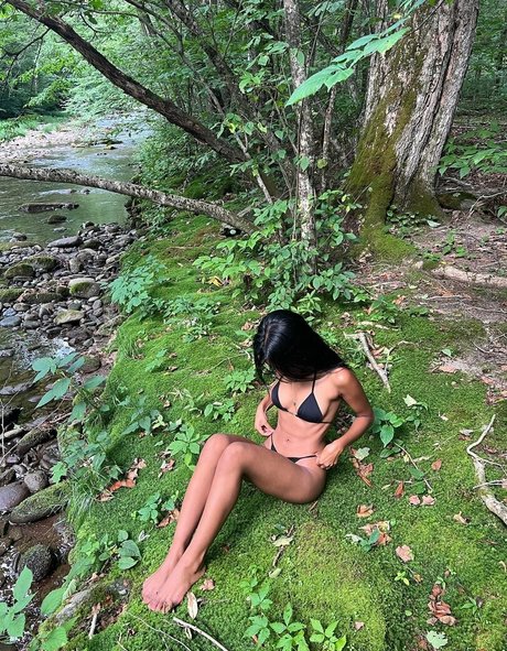 hrtfeit star pretty archive